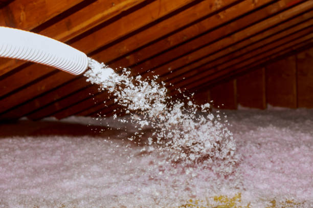 Best Energy Efficiency Solutions in Estes Park, CO