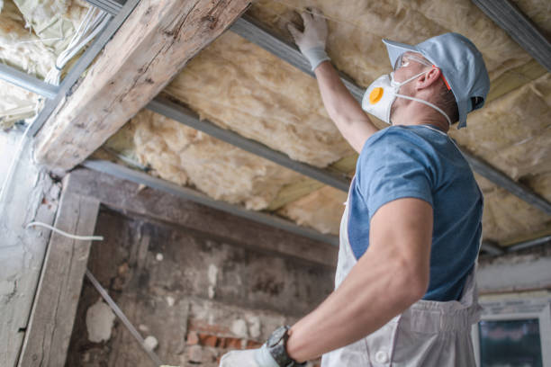 Best Insulation Materials and Products in Estes Park, CO